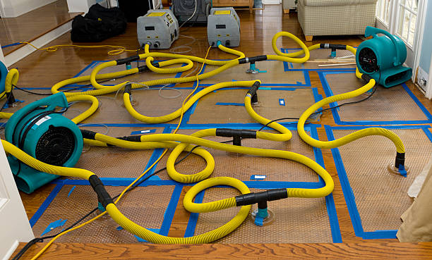 Professional Storm Water Damage Restoration technician working in Eustace, TX